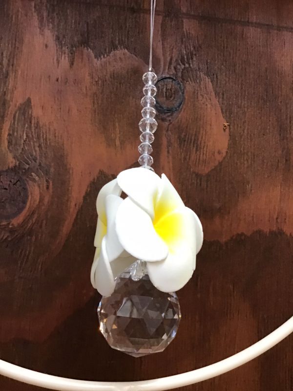 画像3: プルメリアサンキャッチャーホワイト (3)