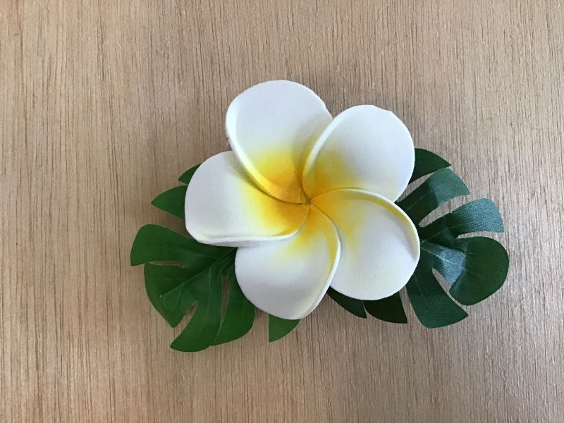 画像2: プルメリアマグネット (2)